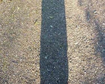 Es ist  mal wieder ein wenig ruhiger hier...