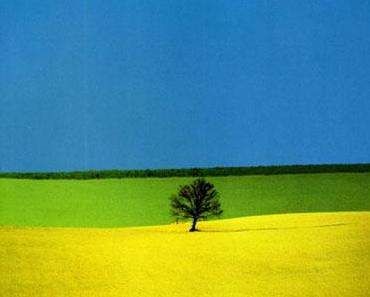 wallpaper-1689754