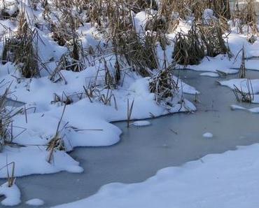 Jede Menge Weihnachtsbücher