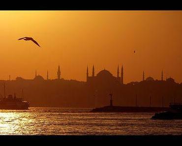 wallpaper-1689754