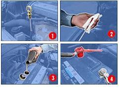 Der Ölstand muss regelmäßig kontrolliert werden