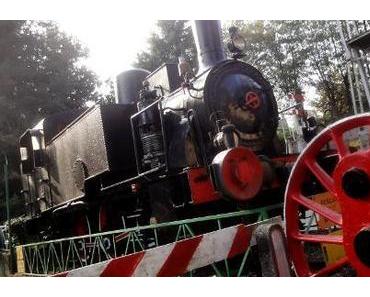 Reisebericht: irrwitziges Sammelsurium