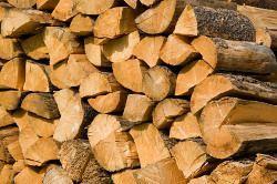 Einführung in die Herstellung von Brennholz
