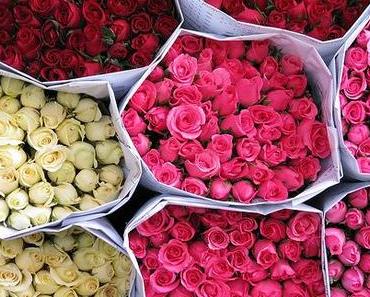 madamelulu:

If a guy bought me a bouquet of roses or any other...