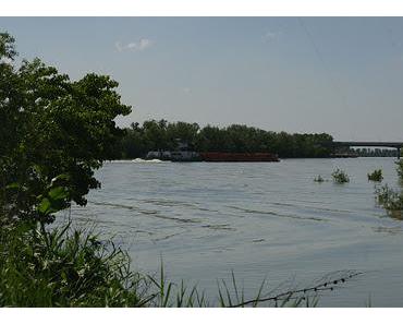 Lass nicht zu, dass Du im Fluss ertrinkst!