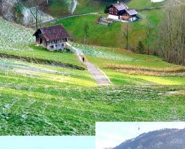 wallpaper-1689754