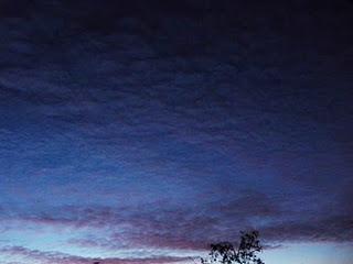 wallpaper-1689754