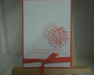 Schnell noch eine Karte für euch