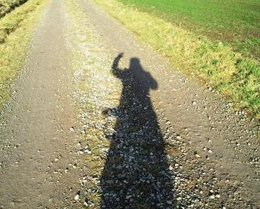 Immer wieder sonntags ...