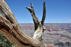 Die Weiten des Grand Canyons