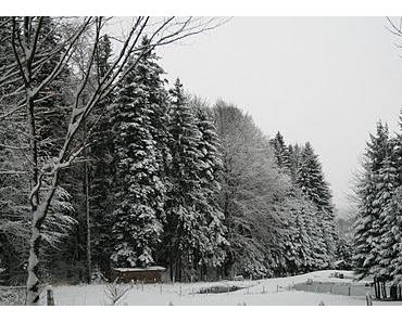 Frohes Fest!