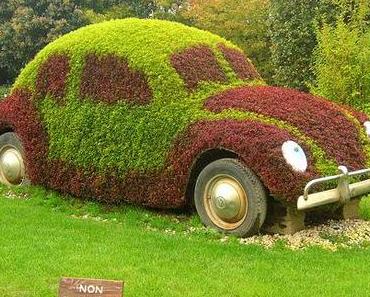 Blumen und Wiesen VW Käfer