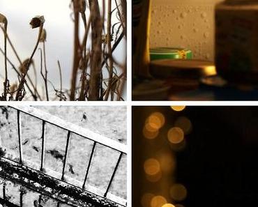 one pic a day und Wochenfunde II