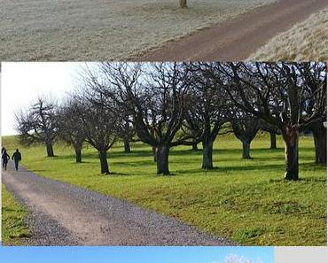 Wintermärchen, Zaubersonne, eine gute Stube