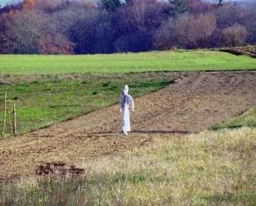 Gescheit und trotzdem blöd
