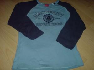 T-Shirt Parade 2012 – Shirt Nr. 6