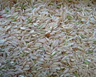 Iran kann Reis nicht bezahlen