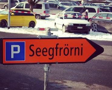 gestern haben wir einen ausflug auf einen zugefrorenen se...