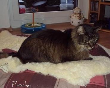 Einfach nur so und ohne viele Worte!