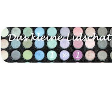 TAG: Lidschatten 1 x 1