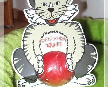 Zufallstreffer …