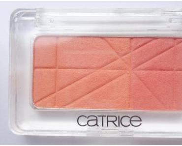 Swatches: Catrice Defining Duo Blush 050 Apricot Smoothie