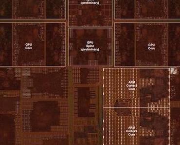 A5 X Chip nun unter dem Mikroskop