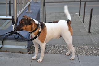 Über'n Haufen geworfen...