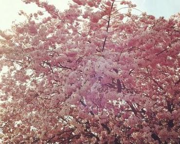 Die Natur “explodiert”