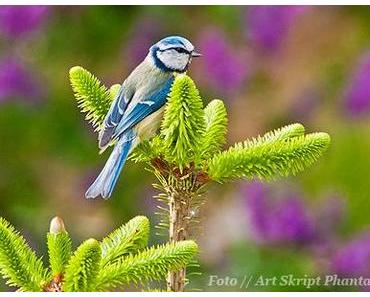 Der Verlag // Ein Zwischenbericht