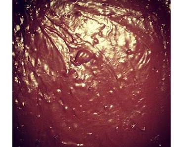 Brownies zum dahin schmelzen...