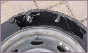 “Sonntags-(Schnapp)-Schuss“ – Blogparade – Nr. 14 ;-)