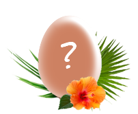 Eieieieiei – was verbirgt sich wohl hinter diesem Ei?