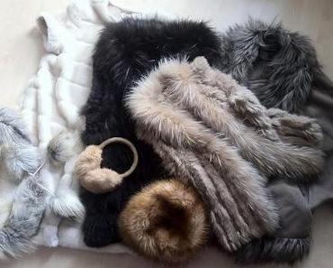 Feeling every shade of... fur