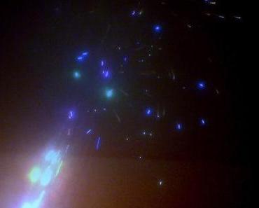 Eieralarm 2012: Die Gewinner