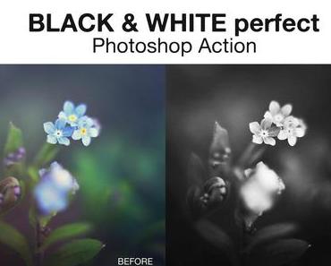 Photoshop Action: Black & White perfect