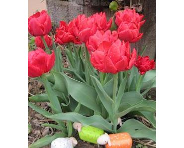 Frohe Ostern...