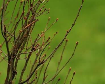 Ostern in Baden-Baden