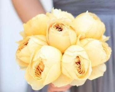 Es steht Großes bevor!