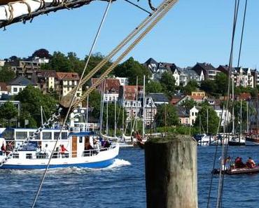 Der Foto Frage Freitag