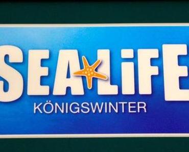 Life in the sea.