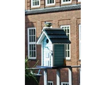 Gudrun ist nicht Gudrun, sondern Klaus!