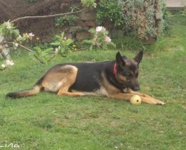 Meine neuen Nachbarn ;-)