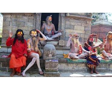 Steuerschätzer: Zuverlässig unzuverlässig