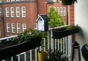 Gudrun und Klaus haben schon Küken…