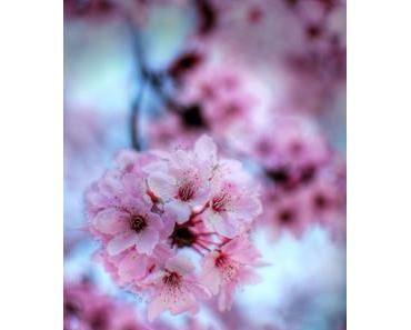 Meine Top 10 Selbst-Pflege Tipps für den Frühling