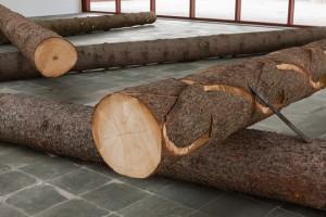 Ein Naturlehrpfad der Kunstgeschichte