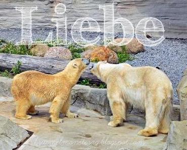 Liebe ✩ Assoziation 2012