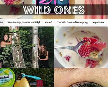 [133] Blogvorstellungen Nr. 7