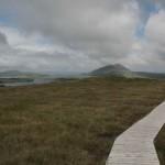 Irland-Tagebuch 2012 – Tag 8